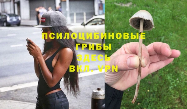 марки nbome Нефтекумск