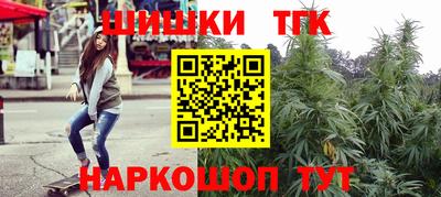 индика Гусиноозёрск