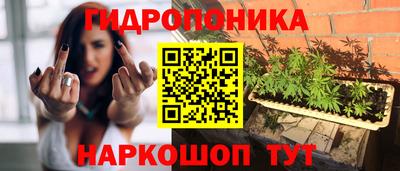 индика Гусиноозёрск