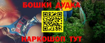 индика Гусиноозёрск