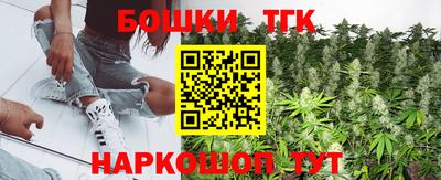 индика Гусиноозёрск