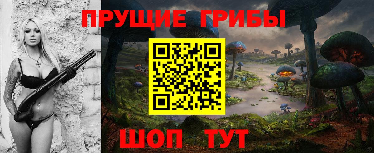 Псилоцибиновые грибы Psilocybine cubensis Азов