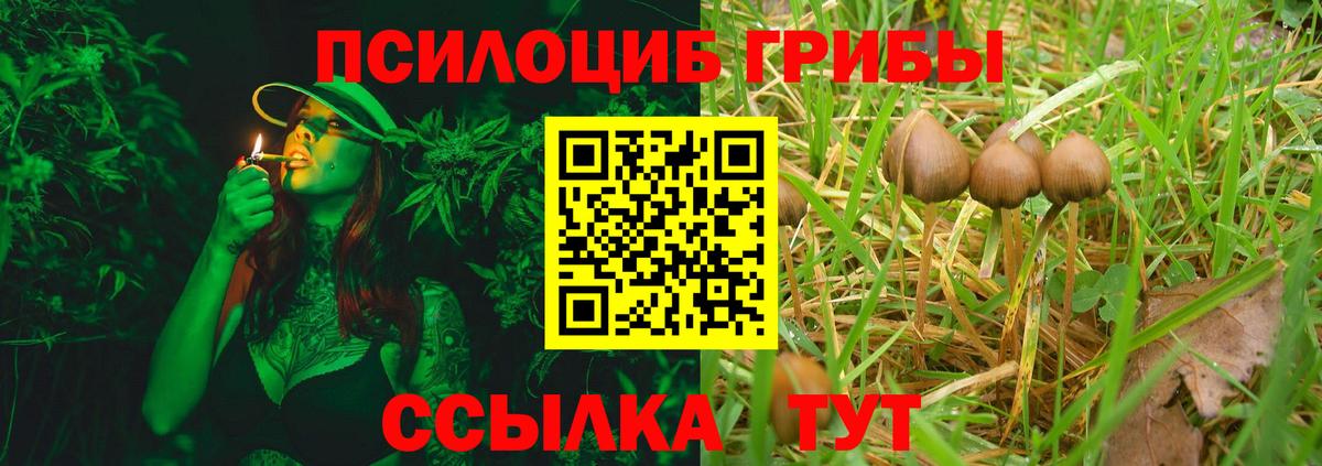 где можно купить   Азов  Псилоцибиновые грибы MAGIC MUSHROOMS 