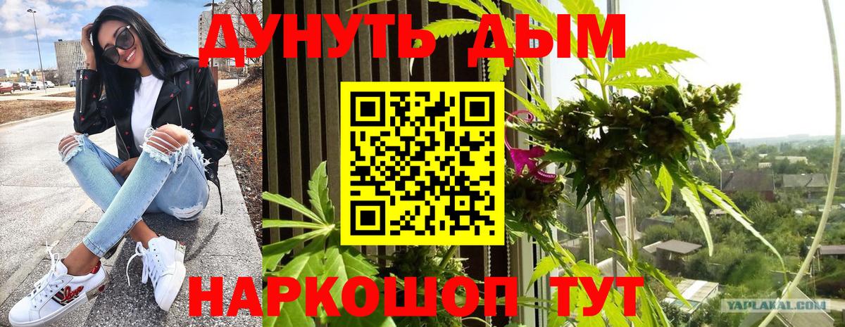 Каннабис план  Бошки Шишки THC 21%  Азов  Конопля ГИДРОПОН  Шишки марихуана тримм 